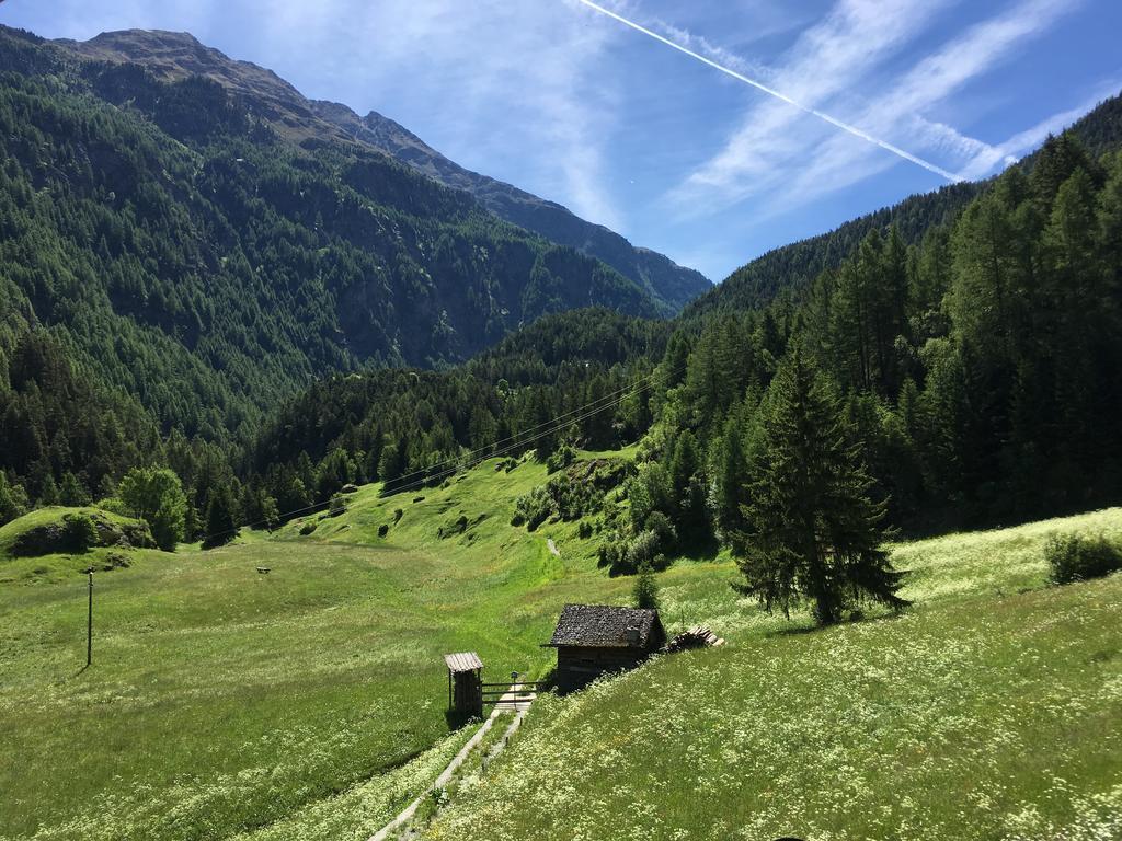 Pension Fiegl Sölden Dış mekan fotoğraf